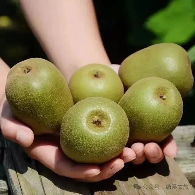 天仙5.jpg