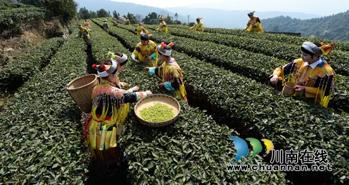 陈大刚：茶叶尖上的马嘶(图5)