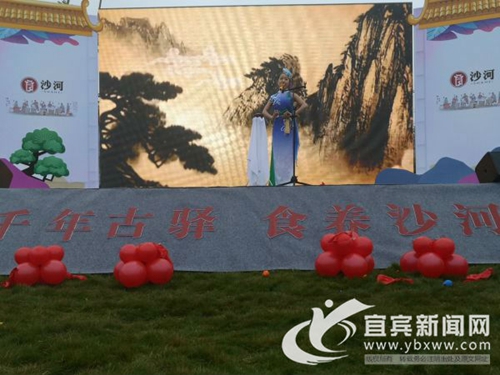 千年古驿品沙河豆腐 宜宾2019年沙河豆腐美食节举行(图2)