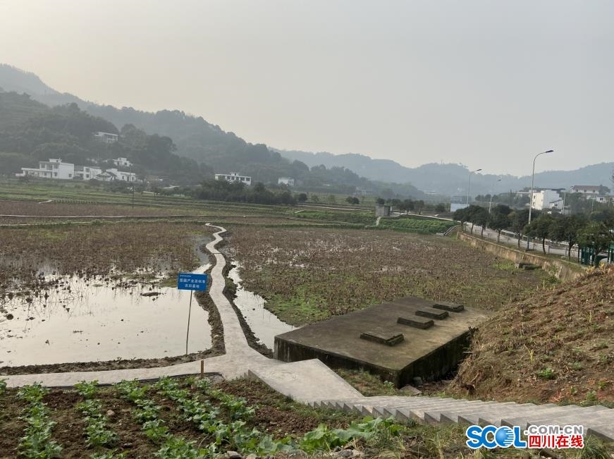 泸州江阳区：村民党员成化解矛盾的“手”(图2)