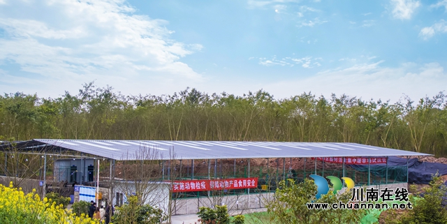 龙马潭区临时活禽集中屠宰场建成投用 日屠宰量达5000余只(图2)