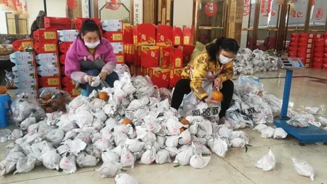 痛心!宜宾这里百万斤柑橘滞销!“求带走!”(图9) 痛心!宜宾这里百万斤柑橘滞销!“求带走!”(图9)