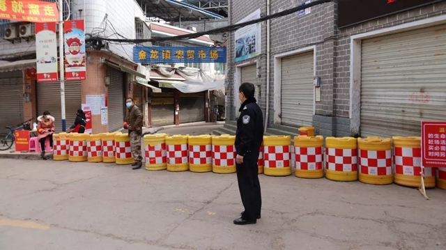 再访双加，悲伤而艰难地自愈(图17)