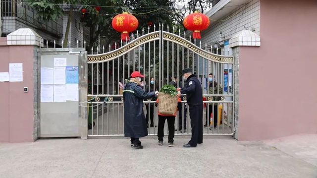 再访双加，悲伤而艰难地自愈(图11)
