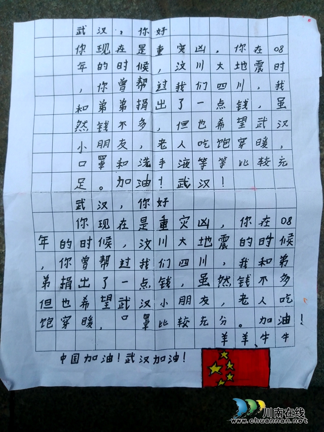 泸州市龙马潭区莲花池街道：爱心接力  共同撑起狙击疫情大旗(图4)