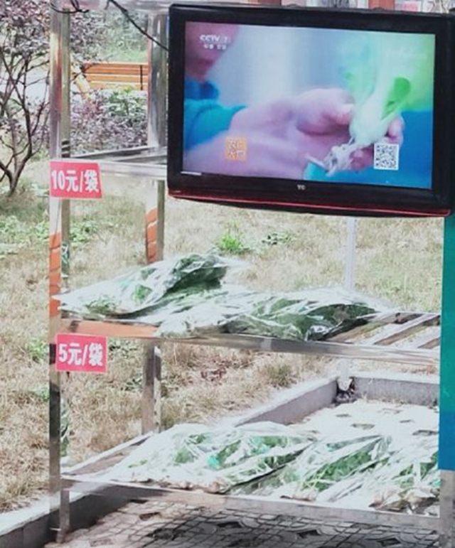 方便！无人售卖蔬菜进入宜宾这个小区了！全程自助式购买！(图5)