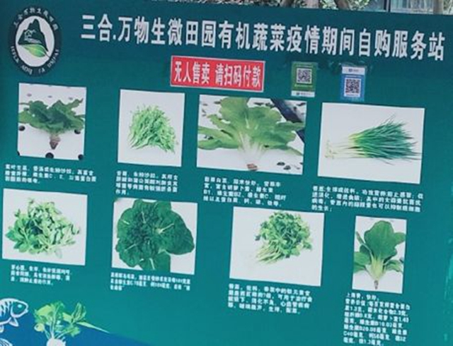 方便！无人售卖蔬菜进入宜宾这个小区了！全程自助式购买！(图6)