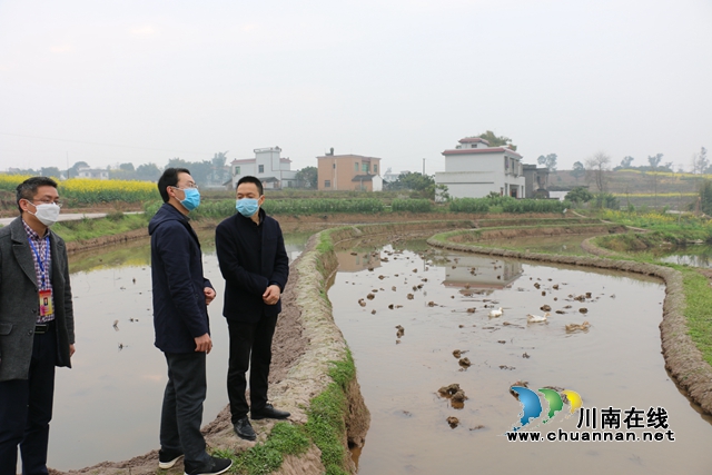 张福荣到泸县潮河镇督导疫情防控、脱贫攻坚等重点工作