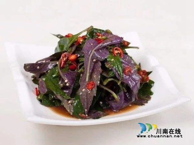 【危险】泸州一家六口吃血皮菜中毒了？