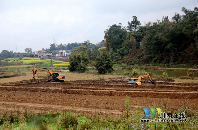 龙马潭区：忙施工 抢农时 强力推进高标准农田建设项目(图6)