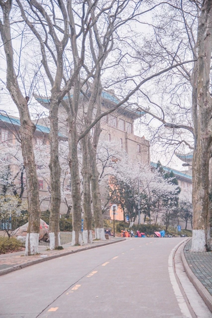 【西南医大中医院•科普】惊蛰来了，病菌又将活跃(图4)