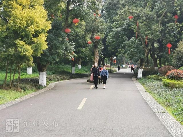 泸州张坝桂圆林公园昨日起开放，每日限流5000人