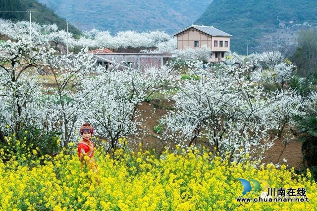 “云”赏泸州丨赤水河畔桃李芬芳，叙永这些地方美翻了！(图30)