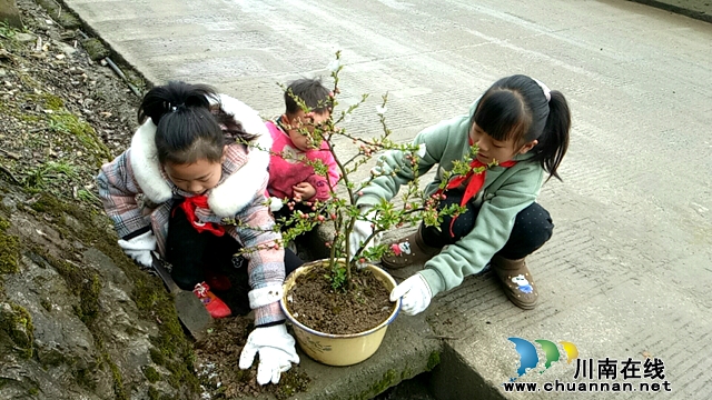 叙永县石厢子中心校:红领巾“疫”起行动，“家庭版”植树活动精彩纷呈