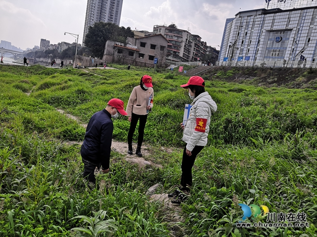 巡河护江 龙马潭区小市志愿者在行动(图3)