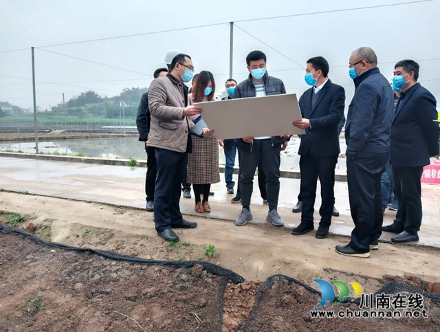 肖刚率队到泸县玉蟾街道督导民生工程建设