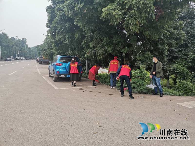 江阳区茜草街道桂圆林社区进行周末大扫除活动
