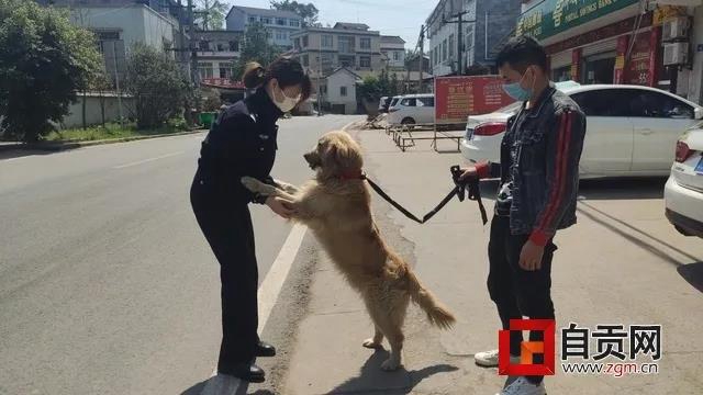 可爱的它找到新家了！但自贡牛佛派出所的民警却哭了……(图2)