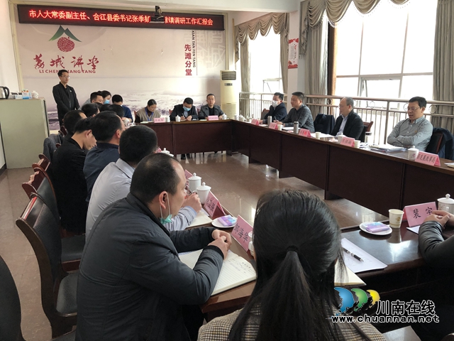 张季頫率队调研合江县先滩镇