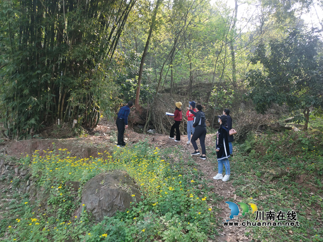 泸州市自然资源和规划局实地督查泸县汛前地灾防治工作