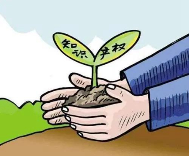 泸州市市场监管局“三打三建”加强知识产权保护 服务企业复工复产泸州市市场监管局：“三打三建”加强知识产权保护 服务企业复工复产(图2)