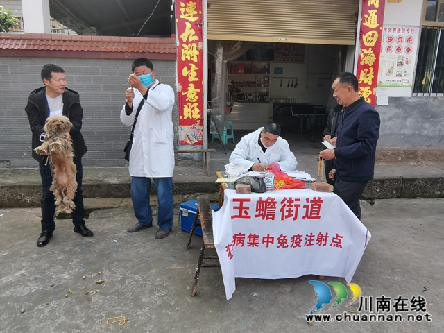 泸县玉蟾街道开展狂犬疫苗免费注射活动 (图4)