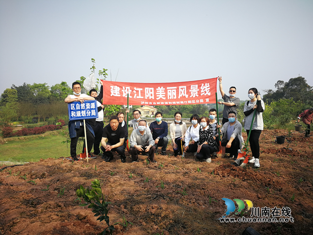 泸州市自然资源和规划局江阳区分局：播种一片新绿，点缀江阳家园
