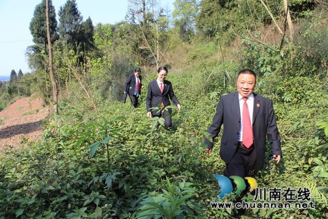 纳溪法院：强化指导 建言献策 积极助推乡村治理法治化(图4)