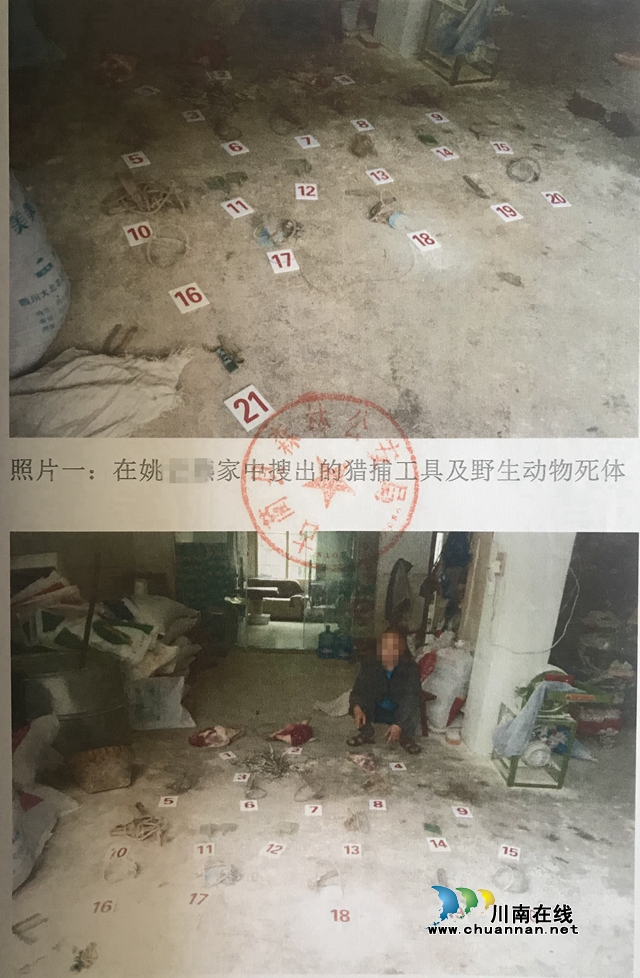 古蔺：非法狩猎野猪  五人获刑！(图4)