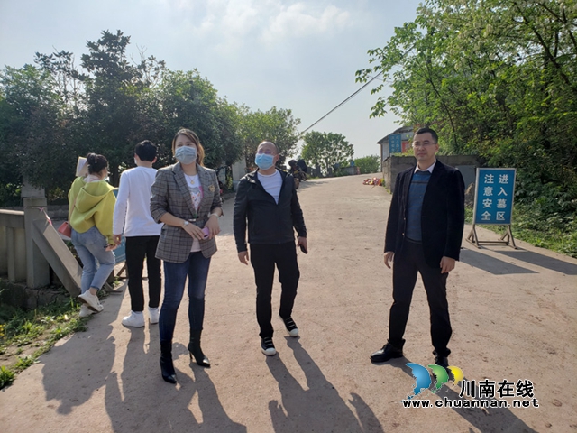 龙马潭区副区长杨勰安排部署大龙山公墓祭扫工作