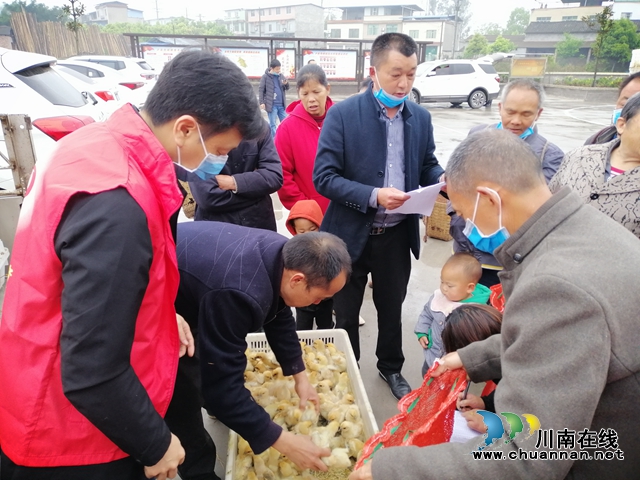 泸县市场监督管理局：精准帮扶 家禽、养殖技术送到家