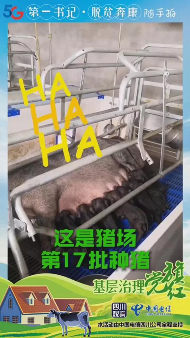 火了!内江出了位“猪肉西施”(图3) 火了!内江出了位“猪肉西施”(图3)