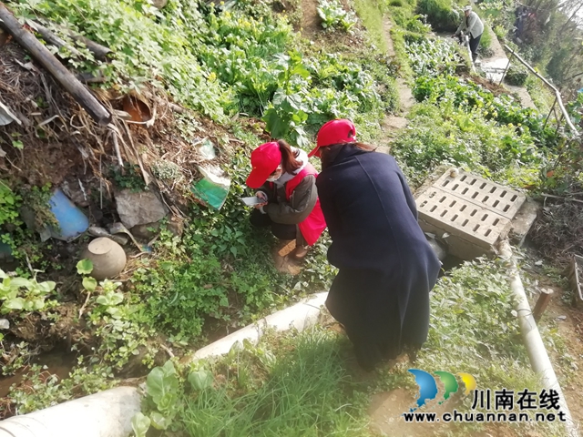 江阳区华阳街道：全力踏查毒品原植物，筑牢无毒网格化管理