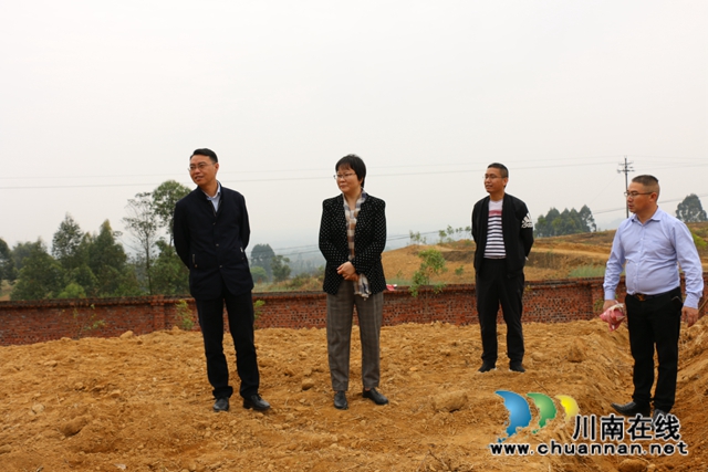 陈佳到泸县潮河镇督导脱贫攻坚工作(图2)