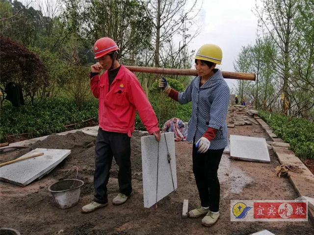 宜宾这个超大森林公园下月完工!风景独特功能丰富,有望成为长江封面(图6) 宜宾这个超大森林公园下月完工!风景独特功能丰富,有望成为长江封面(图6)