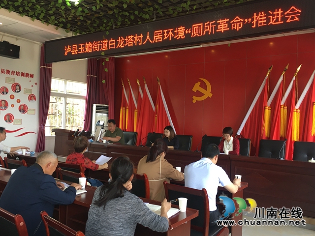 泸县玉蟾街道开展人居环境整治“厕所革命”推进会(图2)
