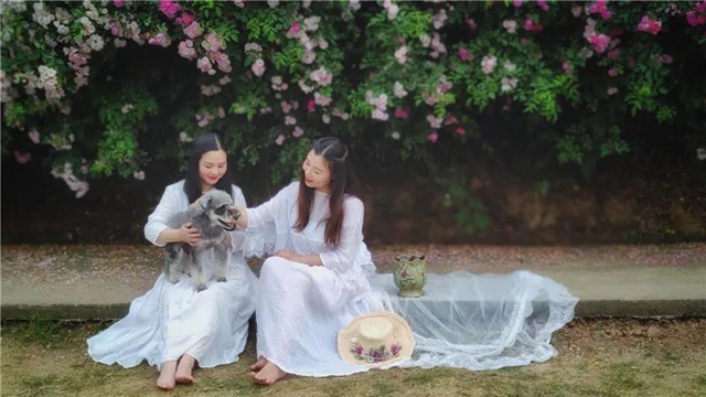 江阳蔷薇开了！来一套田园写真集不香吗？(图12)
