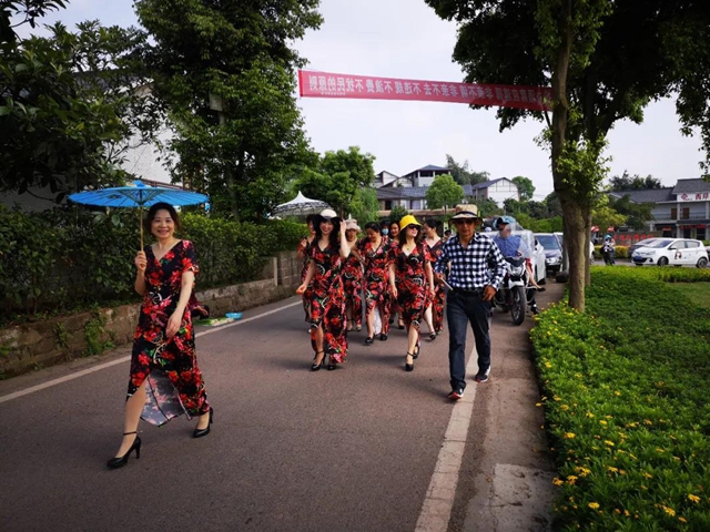 江阳蔷薇开了！来一套田园写真集不香吗？(图18)
