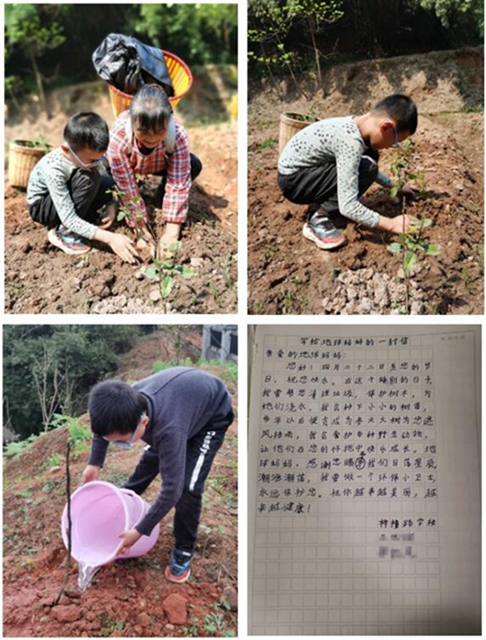 江阳法院普法萤火虫 对话地球日（一）(图5)