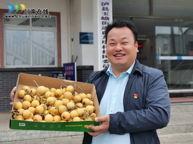 约起来！泸县白龙塔村千亩枇杷熟了！(图10)