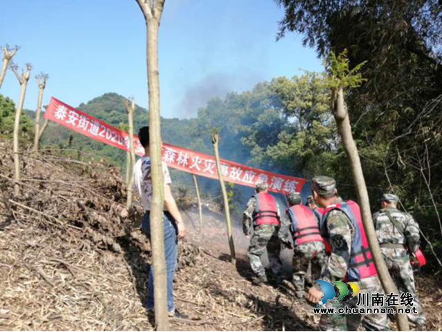 江阳区泰安街道组织开展森林防火应急演练