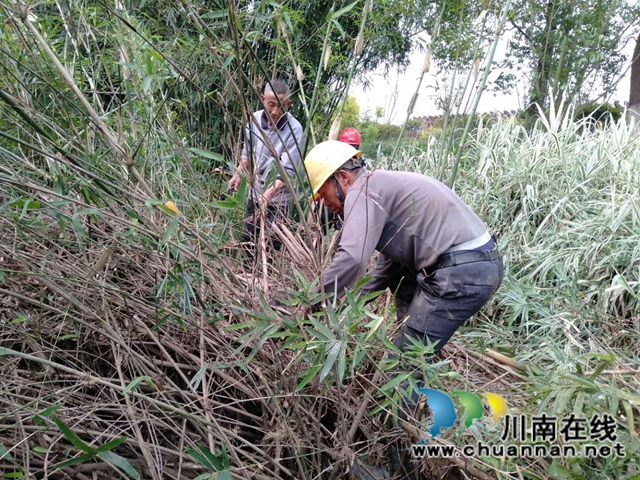泸县玉蟾街道持续开展河长制工作推动治理常态化(图4)