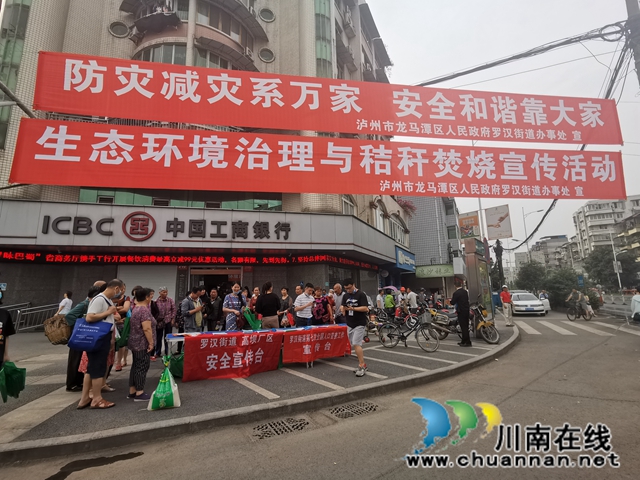 龙马潭区罗汉街道开展“5.12”防灾减灾日主题宣传活动