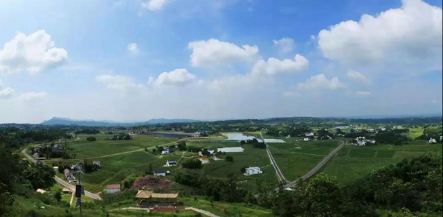 泸州董允坝伞乡景区、沈酒庄景区拟评定为国家级4A！