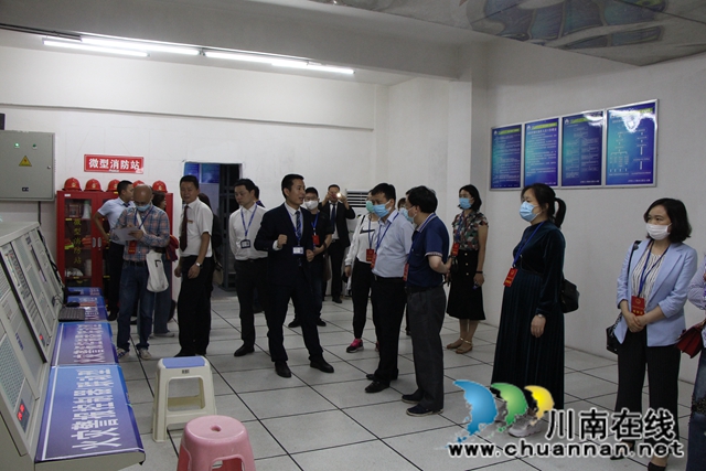 龙马潭区红星街道组织人大代表、政协委员开展视察调研活动(图4)