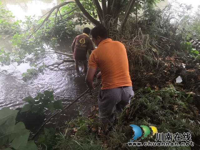 泸县玉蟾街道：狠抓河道整治 守护绿水青山(图8)
