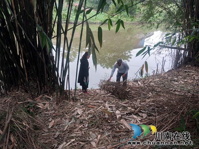 泸县玉蟾街道：狠抓河道整治 守护绿水青山(图6)
