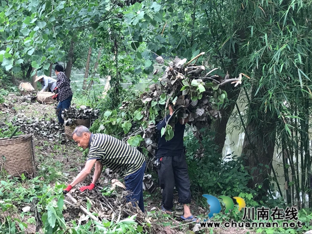 泸县玉蟾街道：狠抓河道整治 守护绿水青山(图4)