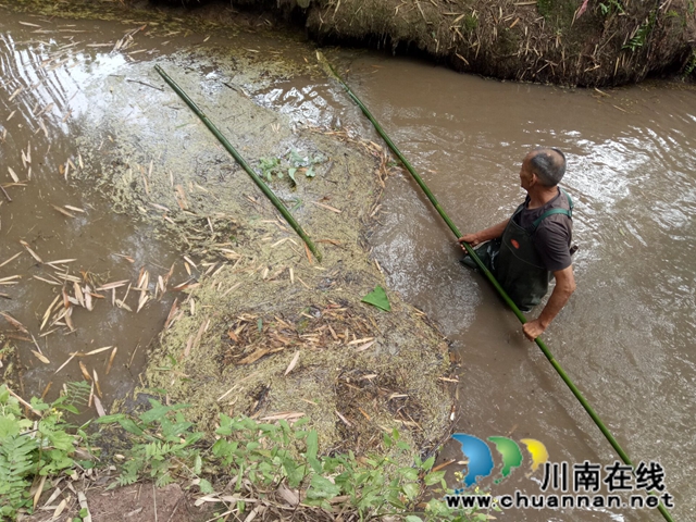 泸县玉蟾街道：狠抓河道整治 守护绿水青山(图9)