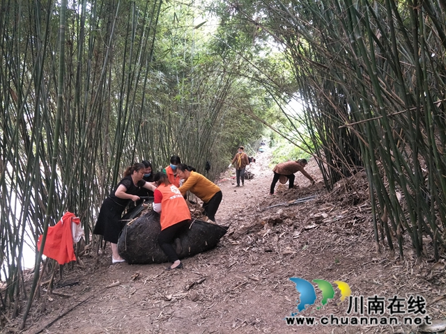 泸县玉蟾街道：狠抓河道整治 守护绿水青山(图15)